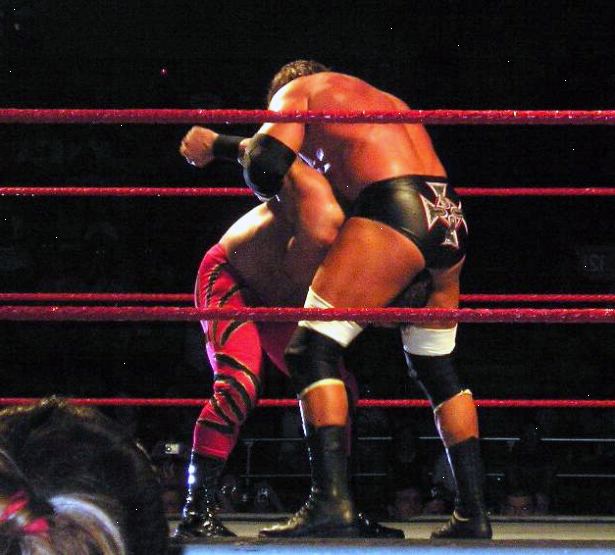 Hvordan du utfører en stamtavle som WWE stjerne triple H. Sparke motstanderen i magen eller noen måte gjøre dem til en bøyd over posisjon.