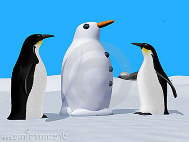 Hvordan bygge en snø pingvin. Sjekk snøforholdene.