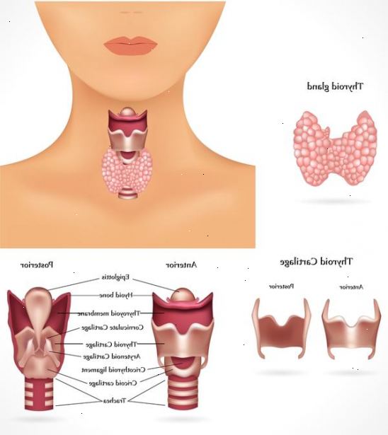 Hvordan fjerne strupen av slim. Klart slim eller slim fra halsen din ved hoste eller Hocking.