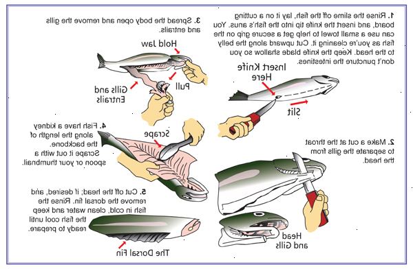 Hvordan du rengjør en fisk. Sjekk din fisk for tåkete øyne og blod.