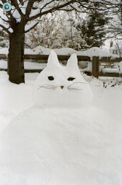 Hvordan lage en snø katt. Bygge bunnen av katten først.