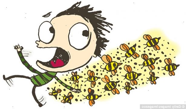 Hvordan kurere insektstikk. Finn ut om du ble stukket av en bie eller en veps.