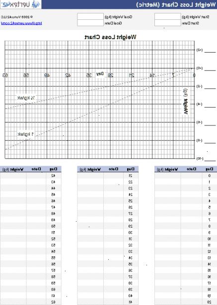 Hvordan lage et vekttap diagram. Åpne en ny Excel-dokument.