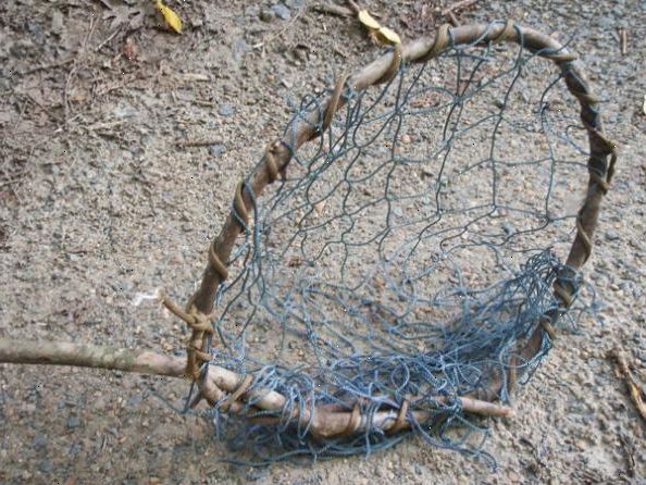 Hvordan netto en fisk. Vær forberedt på å bli netting for noen andre.