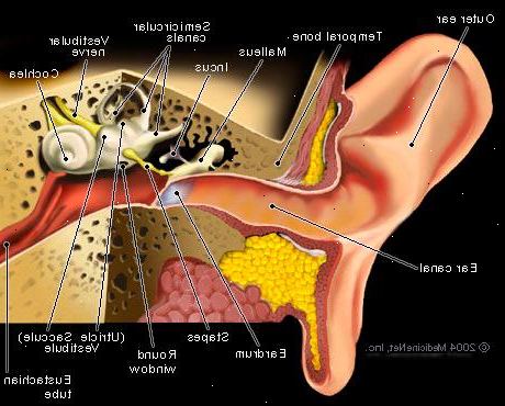 Hvordan å rense det indre øret eller øretrompeten. Gjør en mild valsalva manøver.
