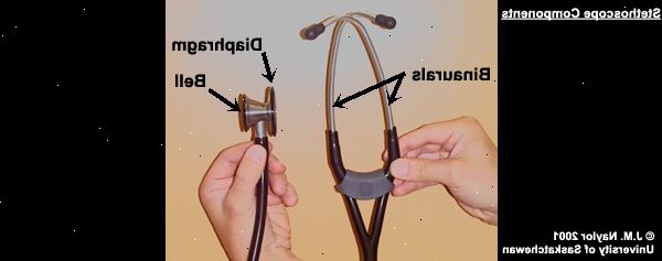Hvordan du bruker et stetoskop. Inspisere stetoskop for kvalitet og skader.