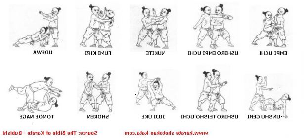 Hvordan forstå grunnleggende karate. Det er mange stiler av karate,. E.